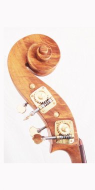 Scroll View of Robert Wittholz Double Bass