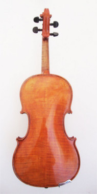 Rear View of a Stradivari Inspired Violin